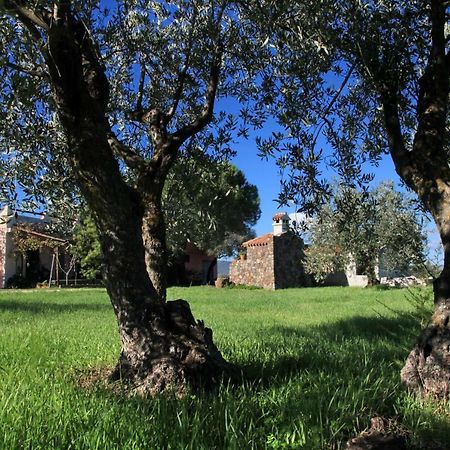 S'Ulumu Dorgali Exterior foto
