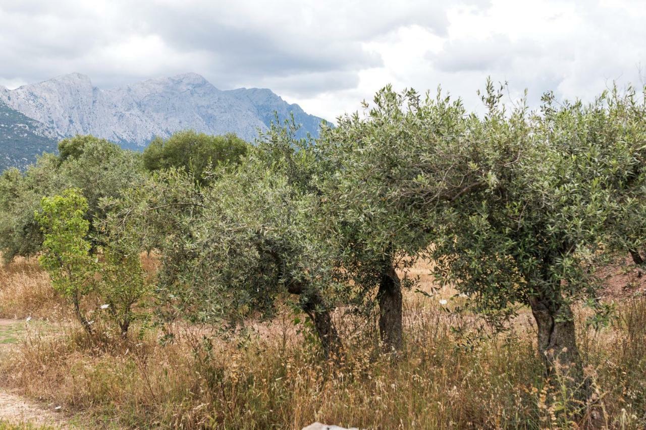 S'Ulumu Dorgali Exterior foto