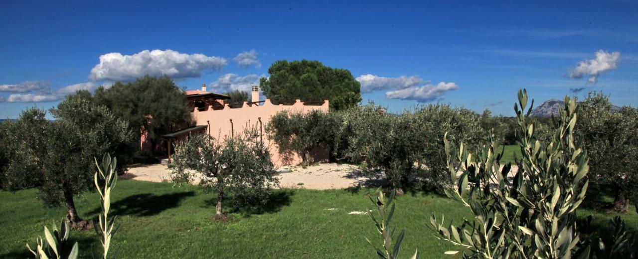 S'Ulumu Dorgali Exterior foto