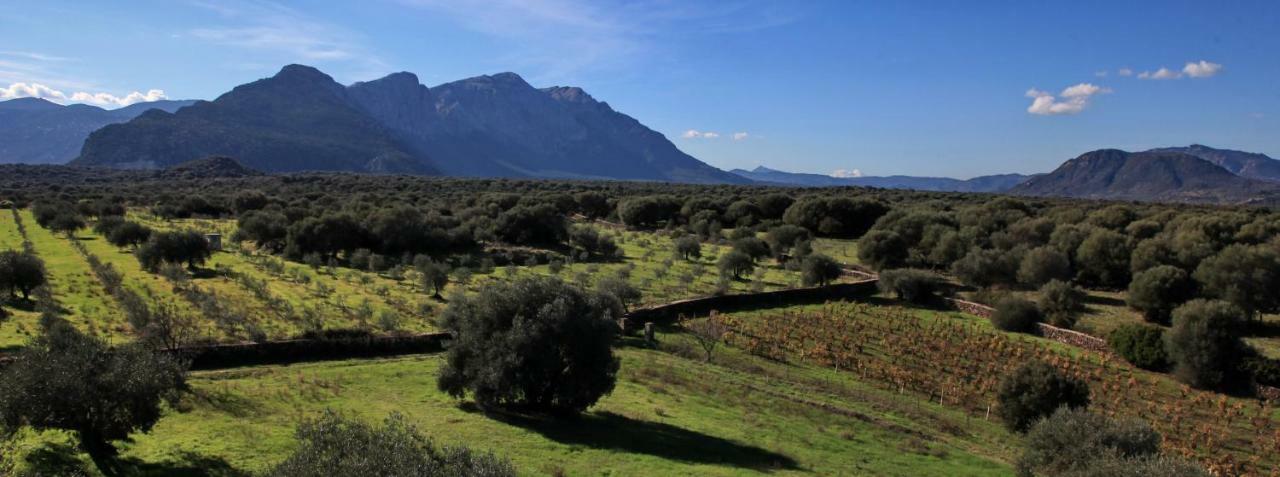 S'Ulumu Dorgali Exterior foto